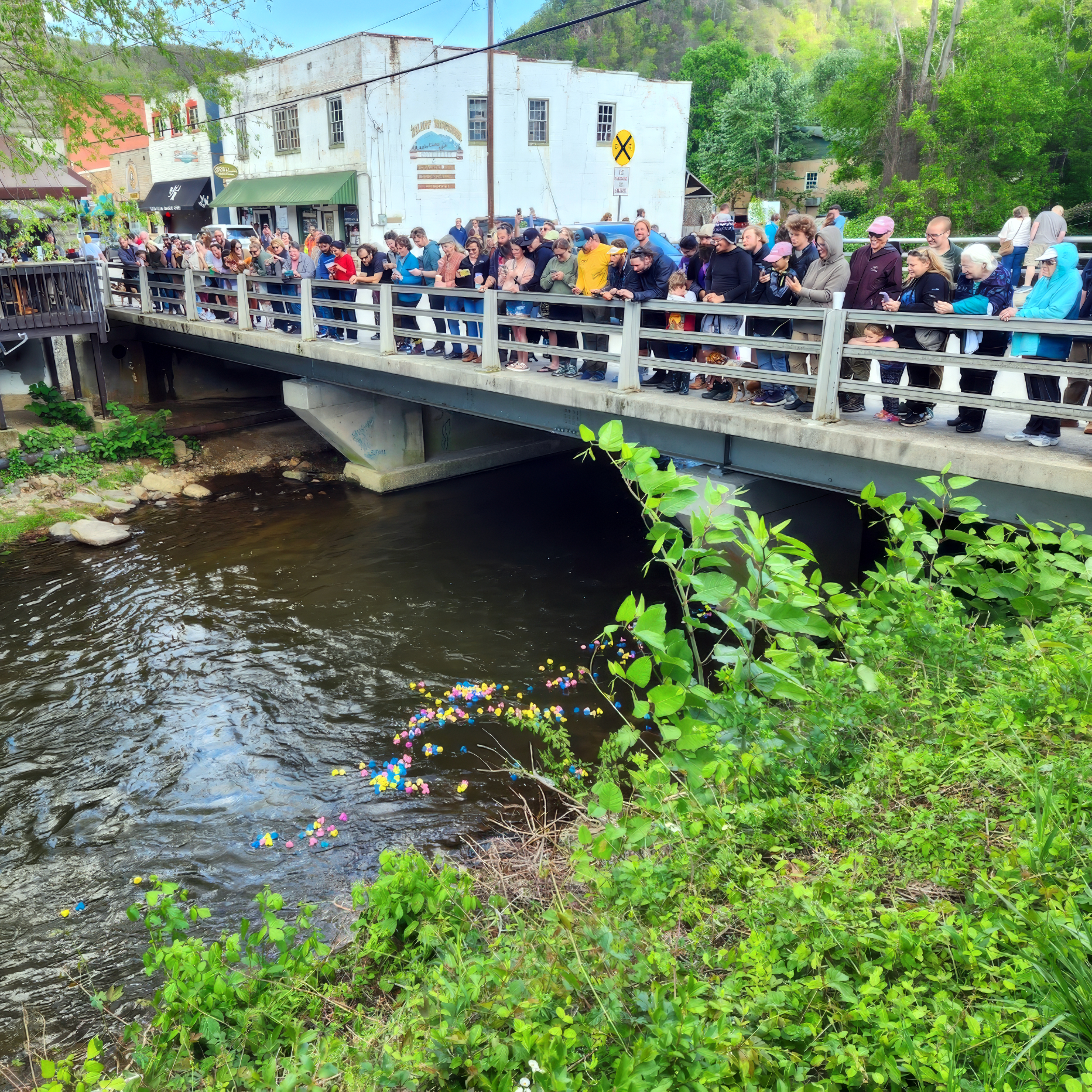 Hot Springs NC Trailfest Duck Race